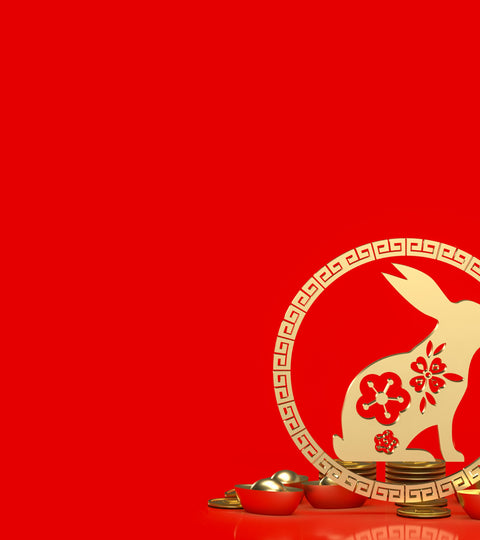 The Rabbit Rings In The Chinese Lunar New Year